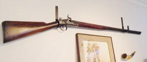 gun hung on gun hooks
